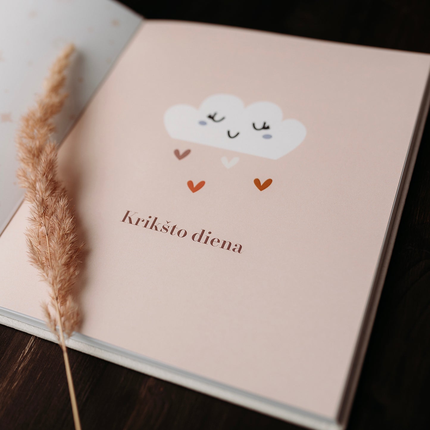 Christening Book and Cards "When I Grow Up"