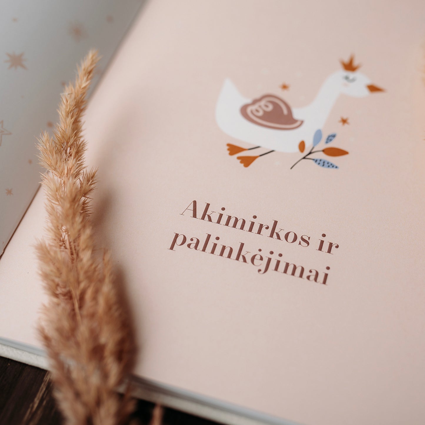 Christening Book and Cards "When I Grow Up"